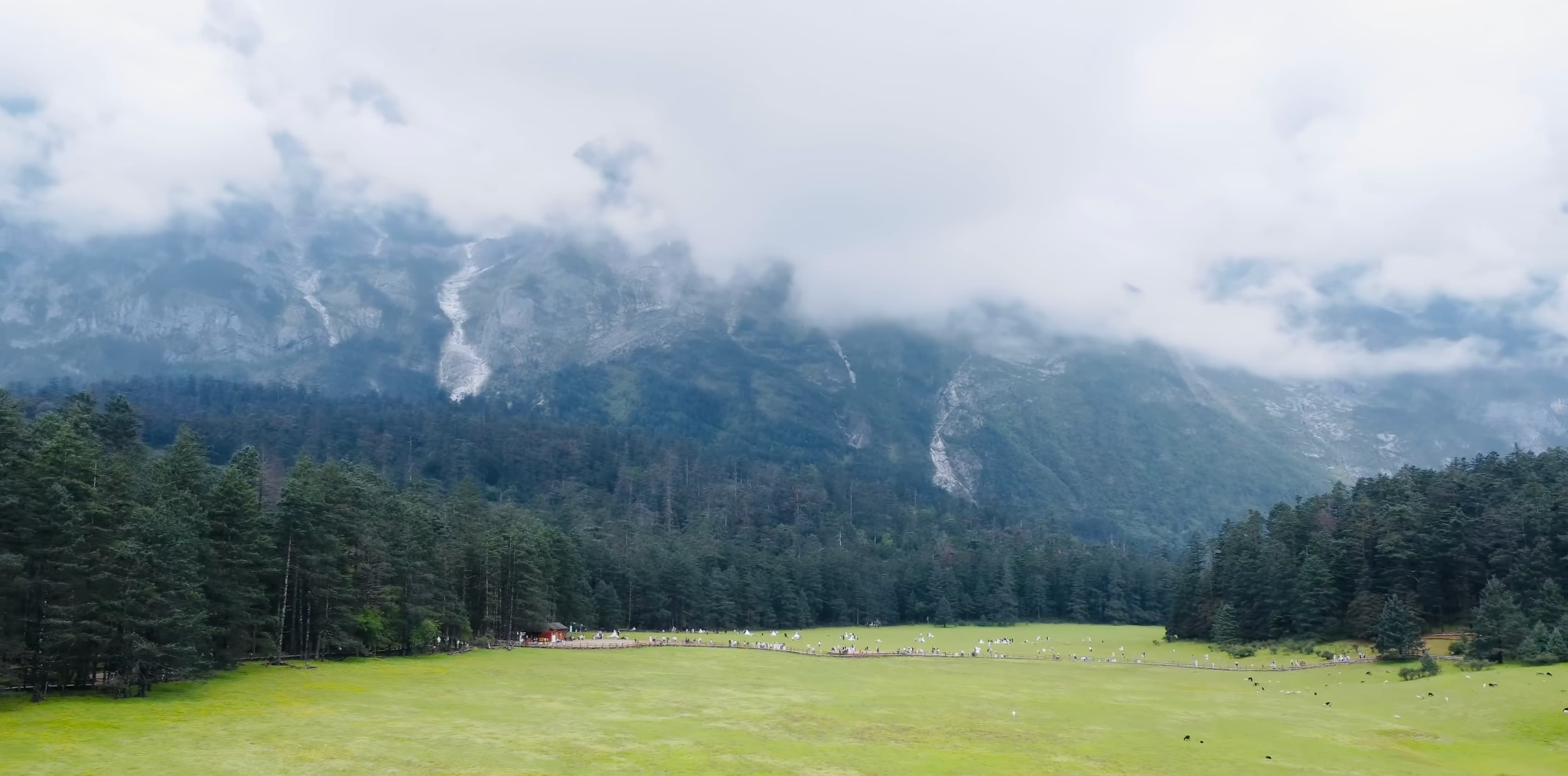 Quantum Computing Research